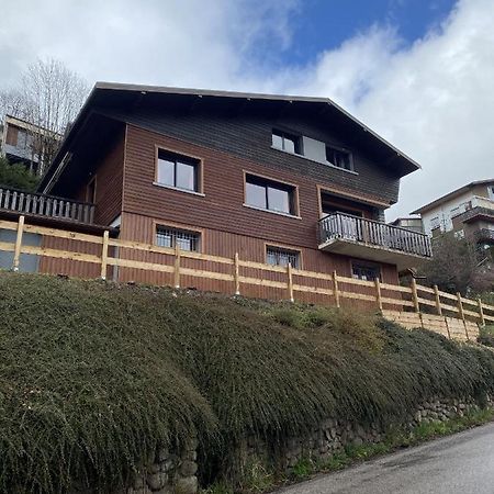 Chalet Les Trois Vallees Villa La Bresse Kültér fotó